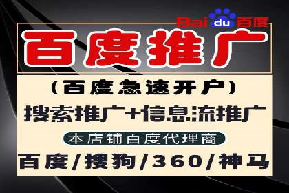 sem代运营公司案例解析：如何制定有效的广告策略